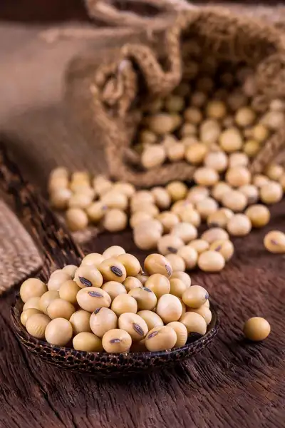 high cholesterol को कम करने में मदद करेगी soybean